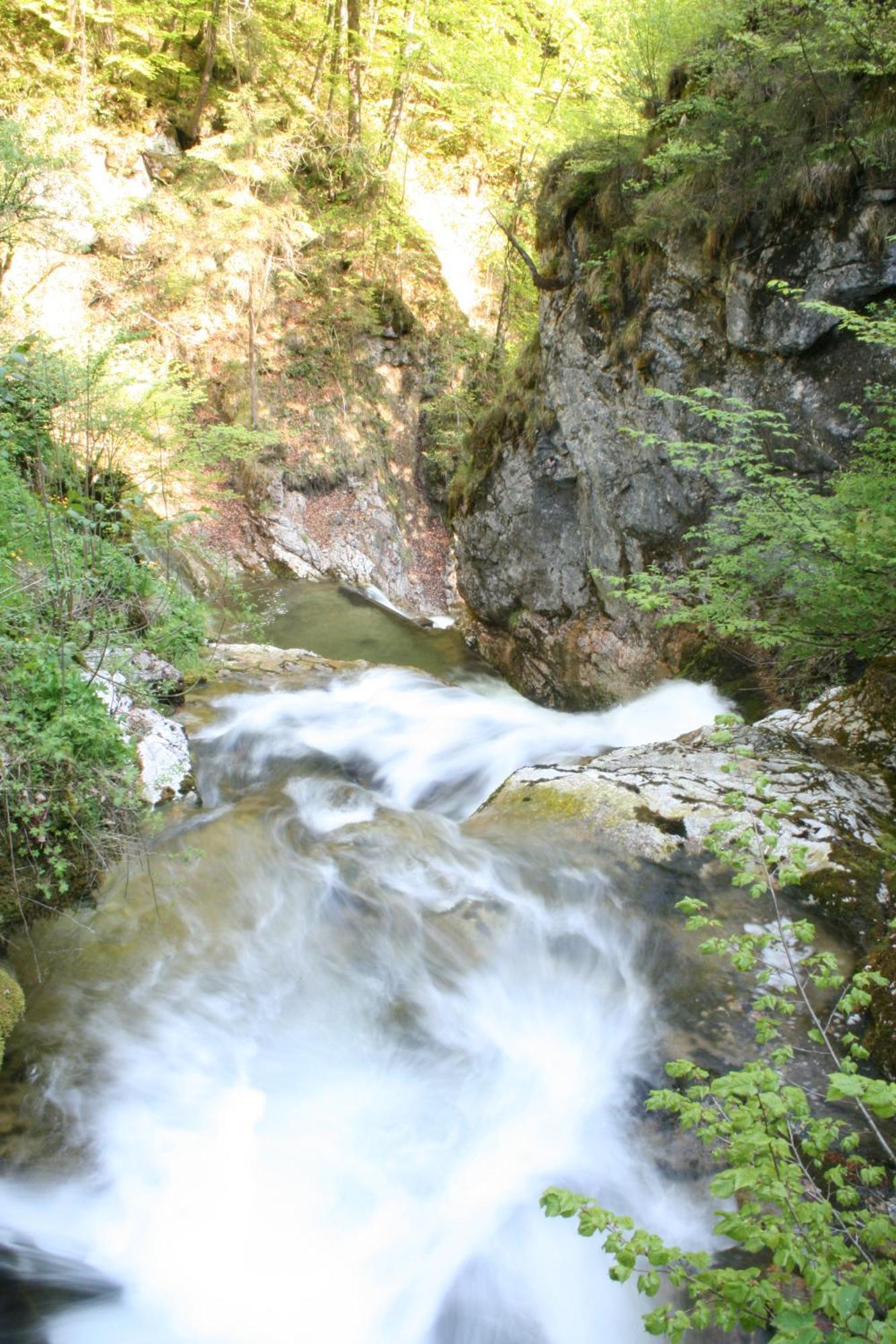 Hupfmuehle Pension Sankt Wolfgang im Salzkammergut ภายนอก รูปภาพ